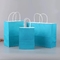 Bolsos de ultramarinos de papel de encargo de Logo Printed Paper Shopping Bags con las manijas